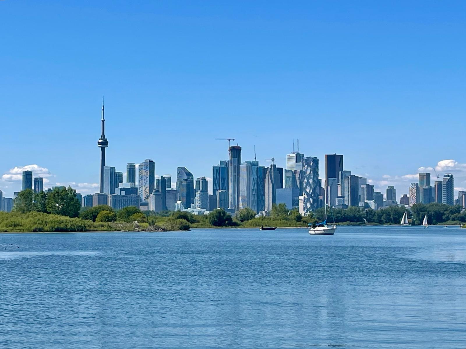 Resources For Buyers